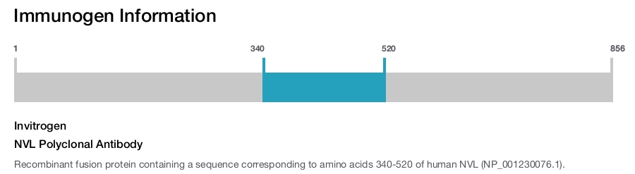 NVL Polyclonal Antibody