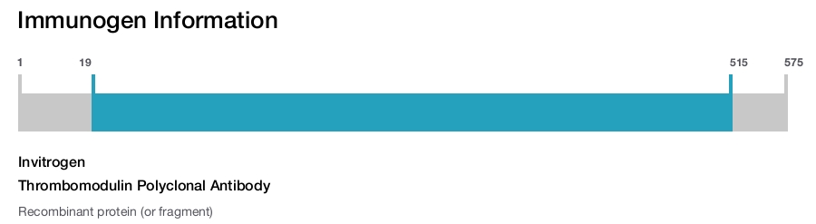 Thrombomodulin Polyclonal Antibody