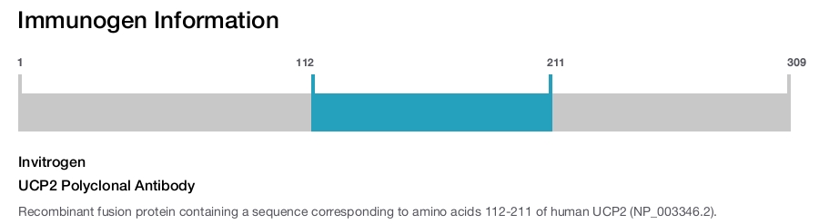 UCP2 Polyclonal Antibody