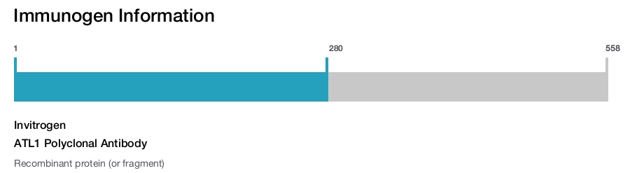 ATL1 Polyclonal Antibody
