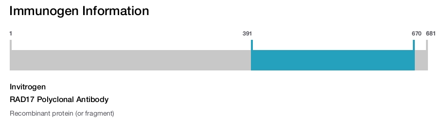 RAD17 Polyclonal Antibody
