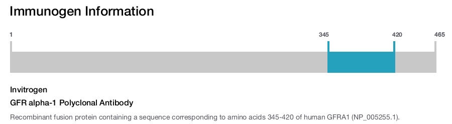GFR alpha-1 Polyclonal Antibody
