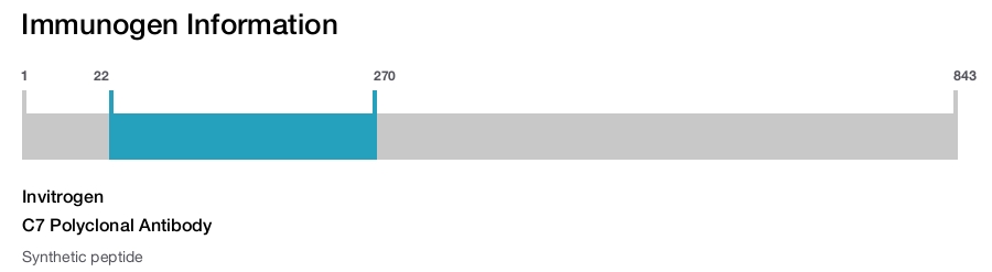 C7 Polyclonal Antibody