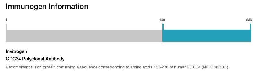 CDC34 Polyclonal Antibody