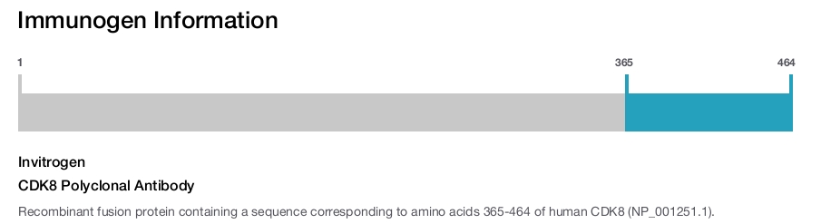 CDK8 Polyclonal Antibody