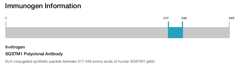 SQSTM1 Polyclonal Antibody