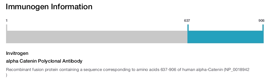 alpha Catenin Polyclonal Antibody