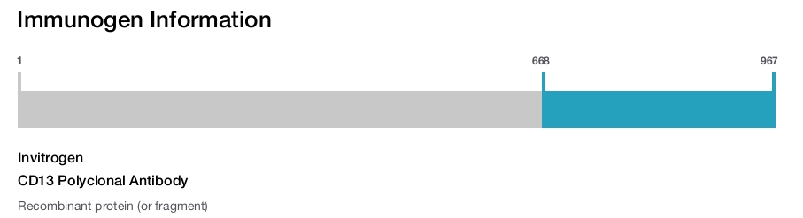 CD13 Polyclonal Antibody