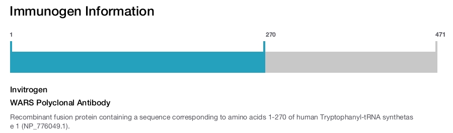 WARS Polyclonal Antibody