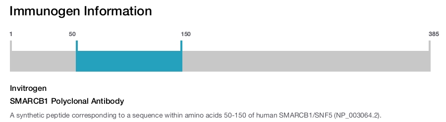 SMARCB1 Polyclonal Antibody