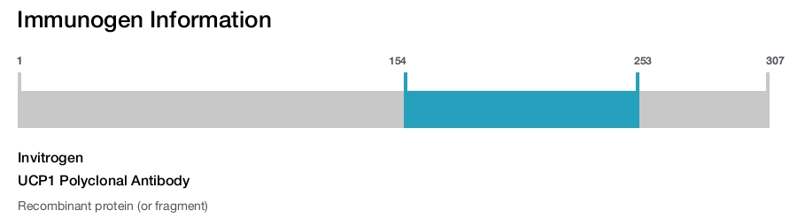 UCP1 Polyclonal Antibody
