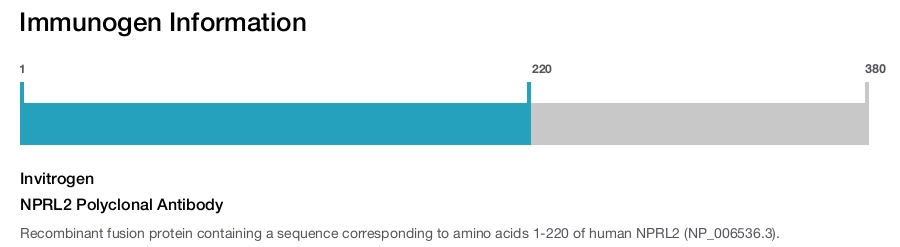 NPRL2 Polyclonal Antibody