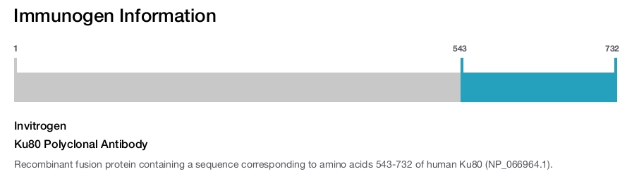 Ku80 Polyclonal Antibody