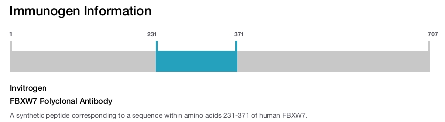 FBXW7 Polyclonal Antibody
