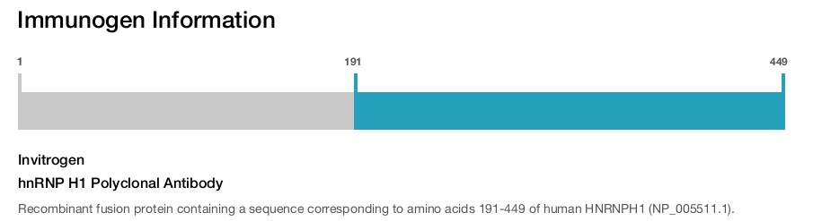 hnRNP H1 Polyclonal Antibody