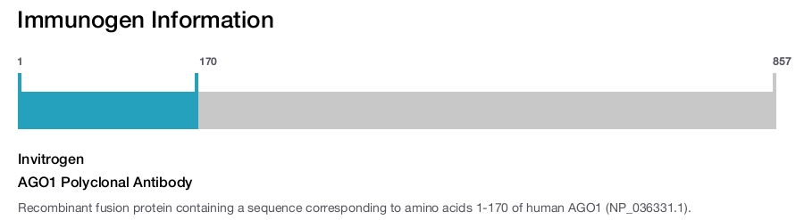 AGO1 Polyclonal Antibody