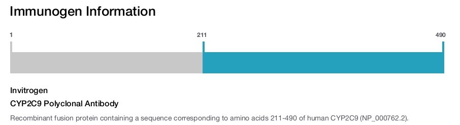 CYP2C9 Polyclonal Antibody