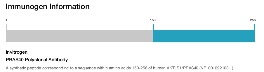 PRAS40 Polyclonal Antibody