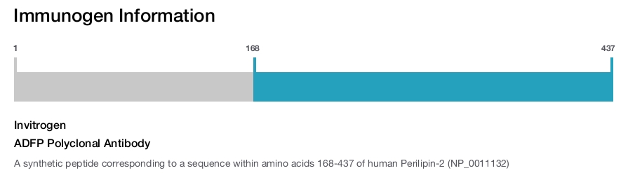 ADFP Polyclonal Antibody