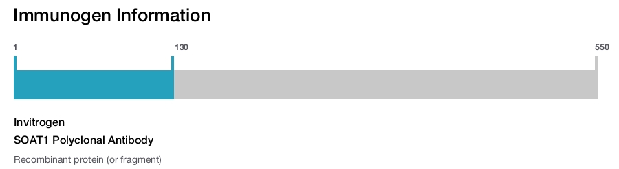 SOAT1 Polyclonal Antibody