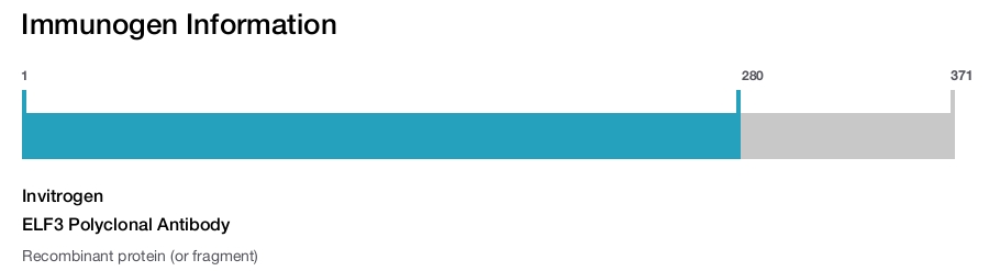 ELF3 Polyclonal Antibody
