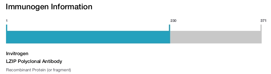 LZIP Polyclonal Antibody