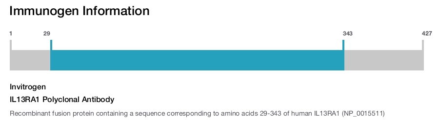 IL13RA1 Polyclonal Antibody