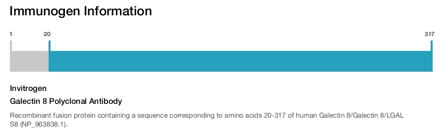 Galectin 8 Polyclonal Antibody