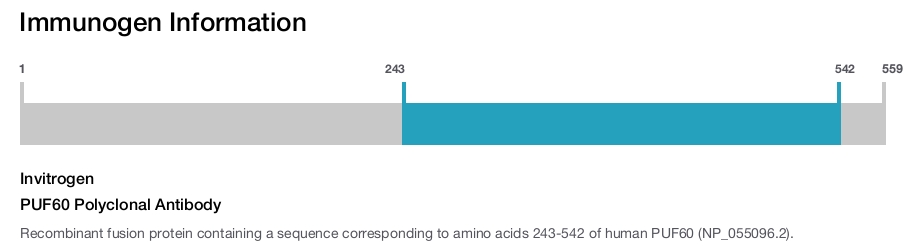 PUF60 Polyclonal Antibody