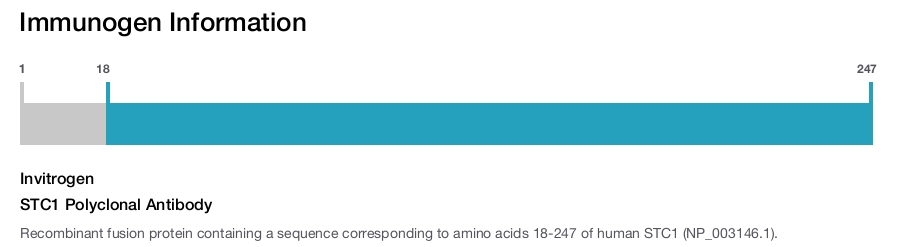 STC1 Polyclonal Antibody