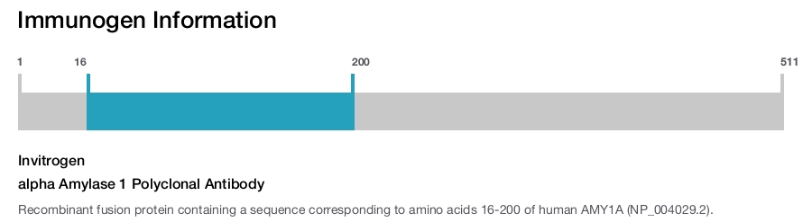 alpha Amylase 1 Polyclonal Antibody