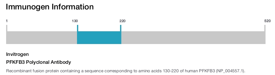 PFKFB3 Polyclonal Antibody