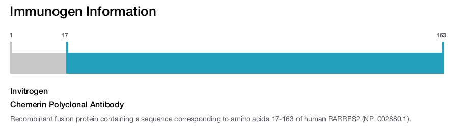 Chemerin Polyclonal Antibody