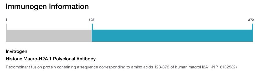 Histone Macro-H2A.1 Polyclonal Antibody