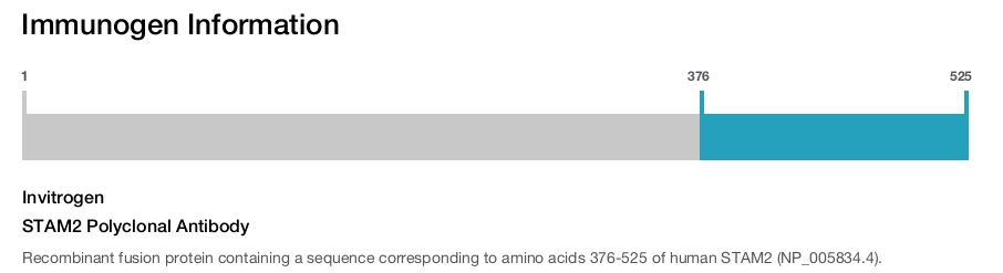 STAM2 Polyclonal Antibody