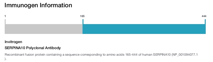 SERPINA10 Polyclonal Antibody