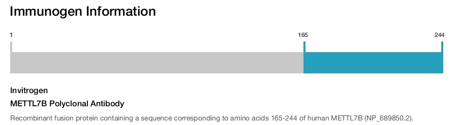 METTL7B Polyclonal Antibody