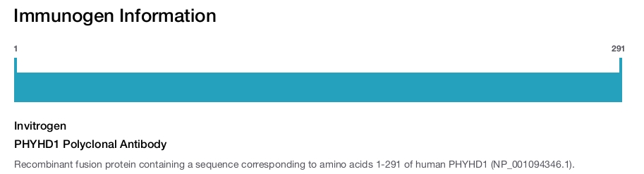 PHYHD1 Polyclonal Antibody