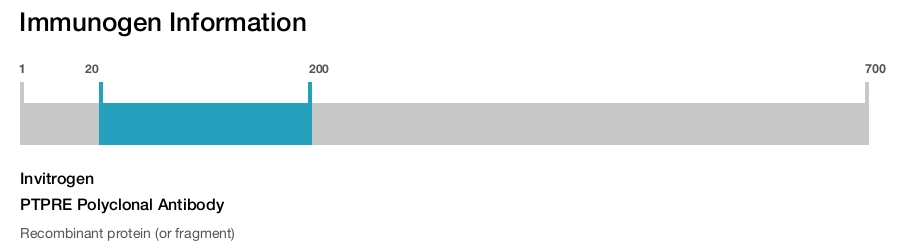 PTPRE Polyclonal Antibody