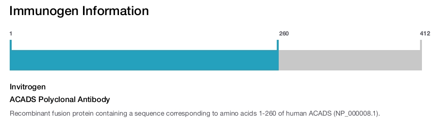 ACADS Polyclonal Antibody