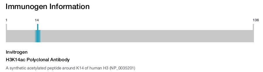 H3K14ac Polyclonal Antibody