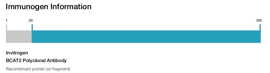 BCAT2 Polyclonal Antibody
