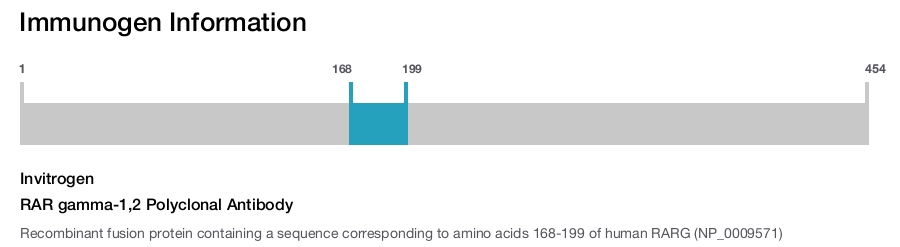 RAR gamma-1,2 Polyclonal Antibody