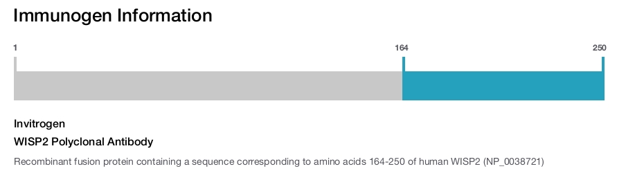WISP2 Polyclonal Antibody