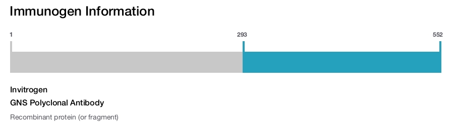 GNS Polyclonal Antibody