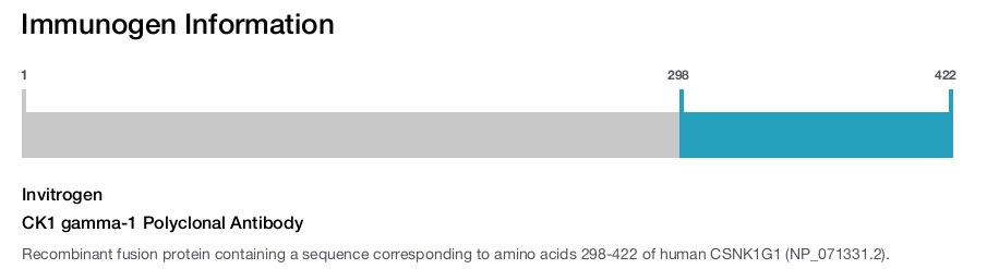 CK1 gamma-1 Polyclonal Antibody