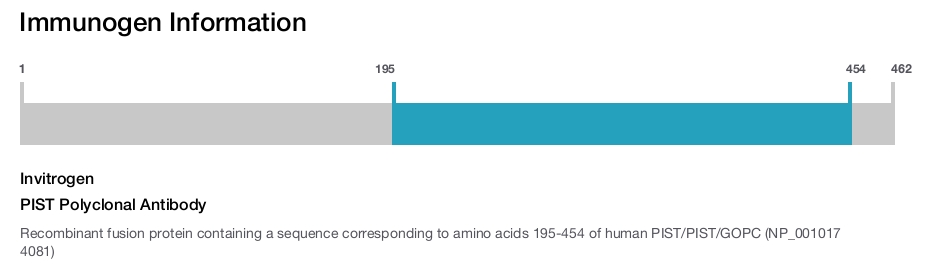PIST Polyclonal Antibody