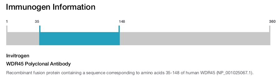 WDR45 Polyclonal Antibody