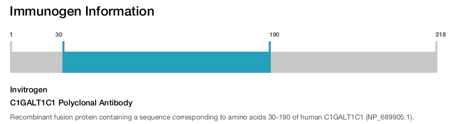 C1GALT1C1 Polyclonal Antibody