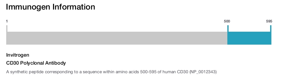 CD30 Polyclonal Antibody